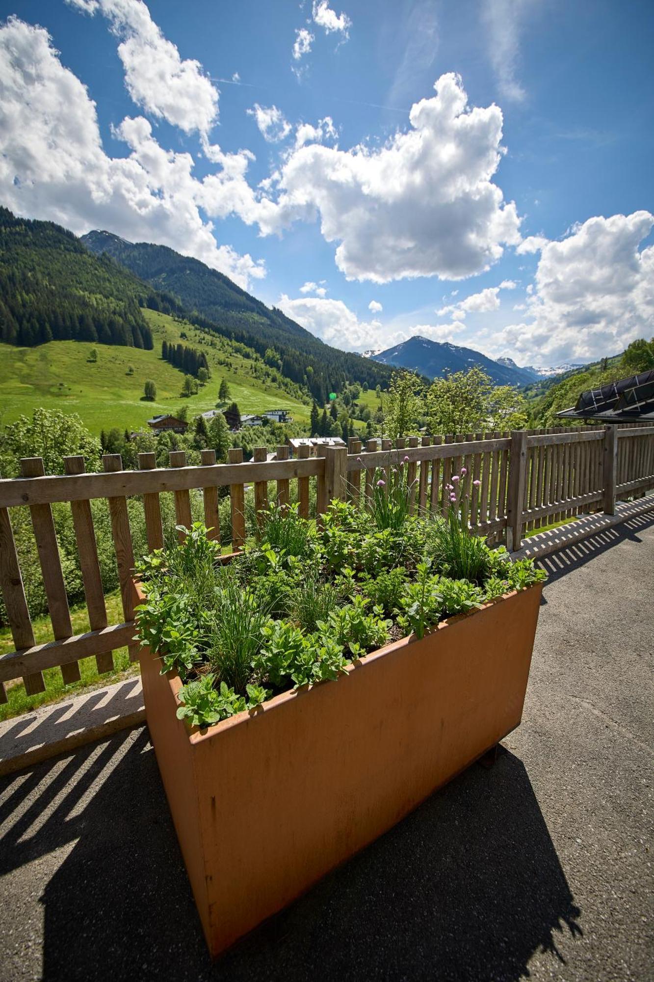 Апартаменти Drei Hittn Saalbach Екстер'єр фото